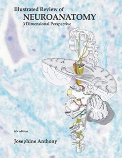 Illustrated Review of Neuroanatomy: 3 Dimensional Perspective (AZW3 + EPUB)