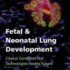 Fetal and Neonatal Lung Development: Clinical Correlates and Technologies for the Future (Lung Growth, Development, and Disease) (EPUB)