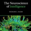 The Neuroscience of Intelligence (Cambridge Fundamentals of Neuroscience in Psychology) (PDF)