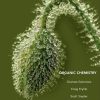 Organic Chemistry, 11th Edition (Solomons) (Original PDF from Publisher)