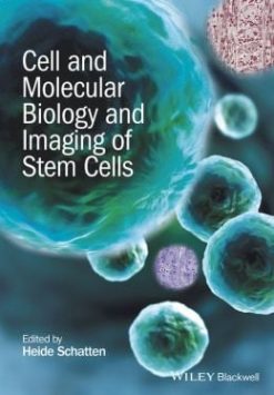 Cell and Molecular Biology of Stem Cell Imaging
