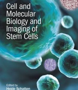 Cell and Molecular Biology of Stem Cell Imaging