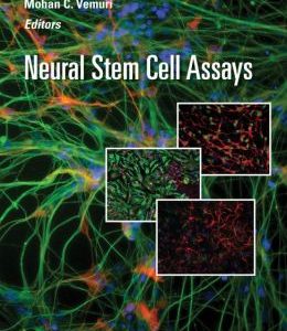 Neural Stem Cell Assays