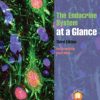 The Endocrine System at a Glance 3rd (Original PDF from Publisher)