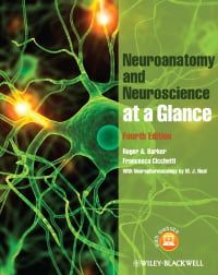 Neuroanatomy and Neuroscience at a Glance, 4th Edition (Original PDF from Publisher)