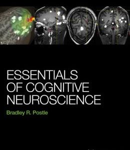 Essentials of Cognitive Neuroscience