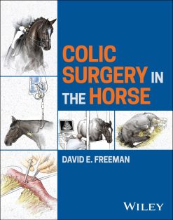 Colic Surgery in the Horse (EPUB)