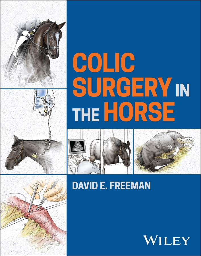 Colic Surgery in the Horse (EPUB)