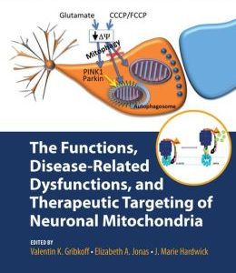 The Functions, Disease-Related Dysfunctions, and Therapeutic Targeting of Neuronal Mitochondria
