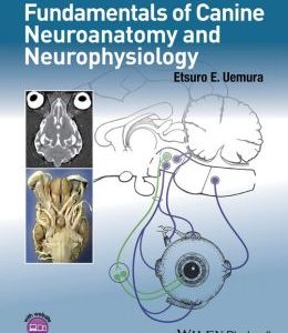 Fundamentals of Canine Neuroanatomy and Neurophysiology