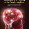 Environmental Experience and Plasticity of the Developing Brain