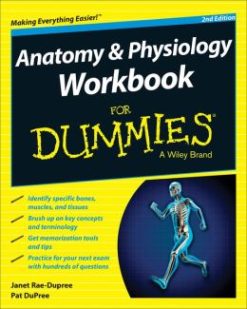 Anatomy and Physiology Workbook For Dummies, 2nd Edition