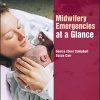 Midwifery Emergencies at a Glance (Original PDF from Publisher)