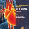 The Cardiovascular System at a Glance, 5th Edition (Original PDF from Publisher)