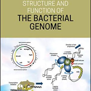 Structure and Function of the Bacterial Genome (Original PDF from Publisher)