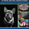 Hereditary Dental and Oral Disease in Dogs (Original PDF from Publisher)