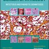 Atlas of Clinical Dermatopathology: Infectious and Parasitic Dermatoses (EPUB)