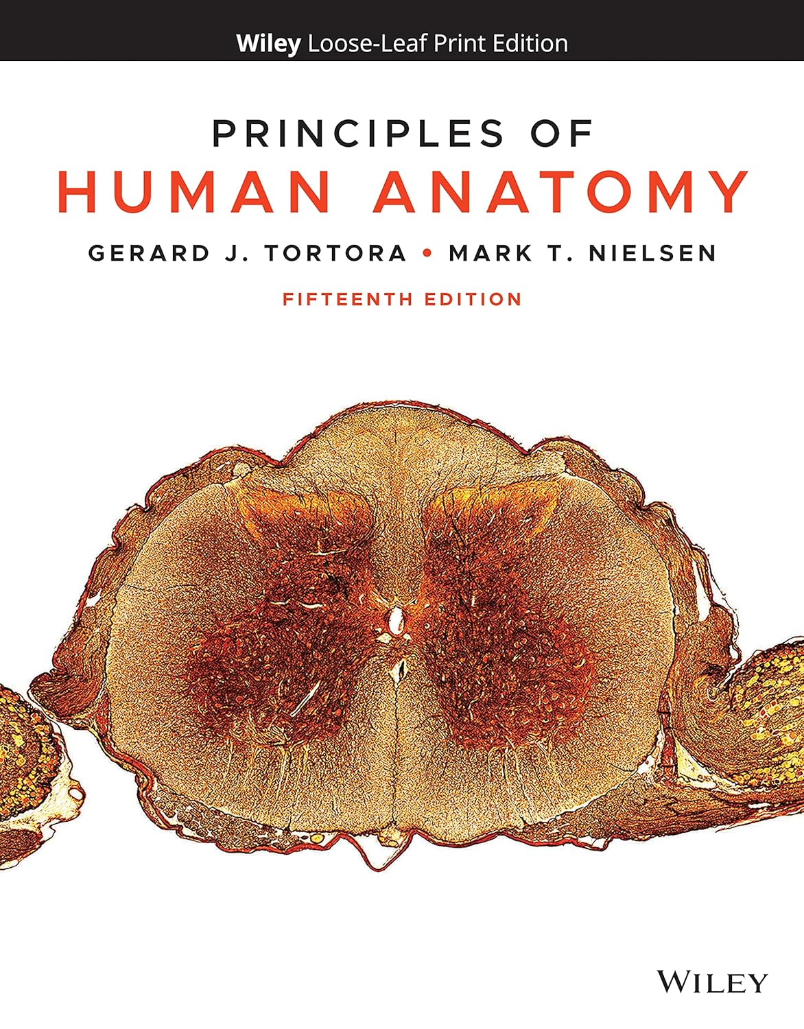Principles of Human Anatomy, 15th Edition (EPUB)