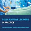Collaborative Learning in Practice: Coaching to Support Student Learners in Healthcare (EPUB)