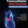 Aortic Valve Transcatheter Intervention: Complications and Solutions (EPUB)