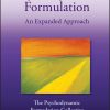 Psychodynamic Formulation: An Expanded Approach, 2nd Edition (Original PDF from Publisher)