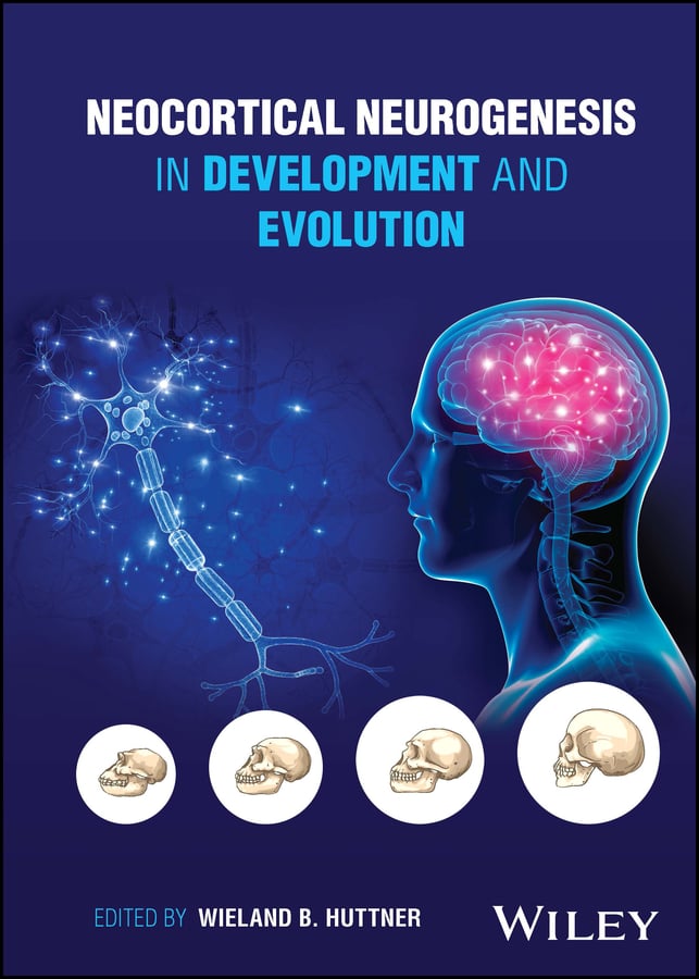 Neocortical Neurogenesis in Development and Evolution (EPUB)