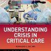 Understanding Crisis in Critical Care (EPUB)