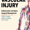 Vascular Injury: Endovascular and Open Surgical Management (Original PDF from Publisher)