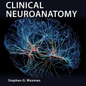 Clinical Neuroanatomy, 30th Edition (Original PDF from Publisher)