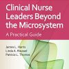 Clinical Nurse Leaders Beyond the Microsystem: A Practical Guide, 4th Edition (Original PDF from Publisher)
