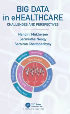 Big Data in ehealthcare (EPUB)