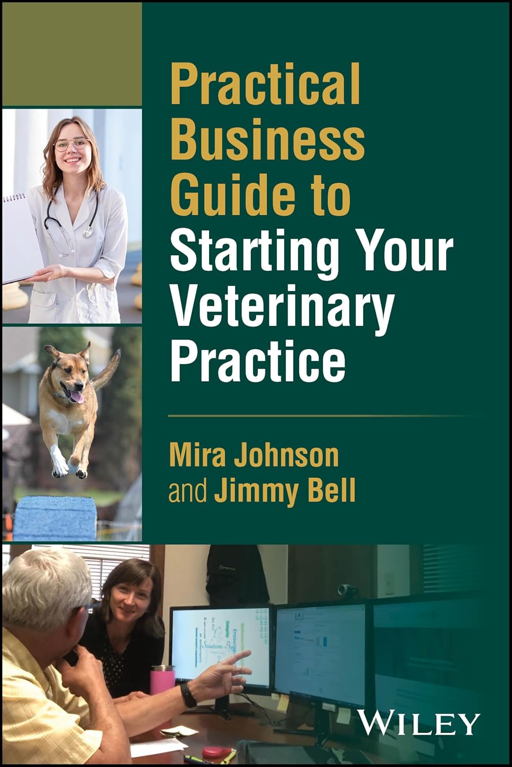 Practical Business Guide to Starting Your Veterinary Practice (EPUB)