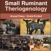 Small Ruminant Theriogenology (Original PDF from Publisher)