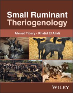 Small Ruminant Theriogenology (Original PDF from Publisher)