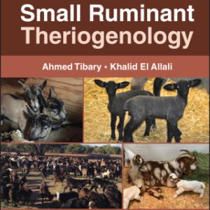 Small Ruminant Theriogenology (Original PDF from Publisher)