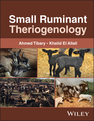 Small Ruminant Theriogenology (Original PDF from Publisher)