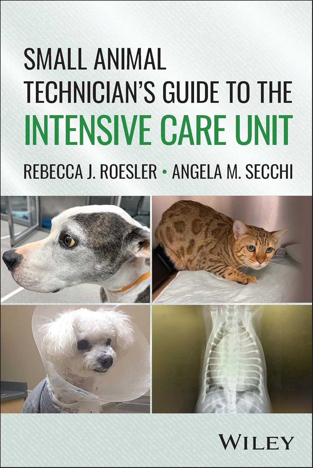 Small Animal Technician’s Guide to the Intensive Care Unit (Original PDF from Publisher)