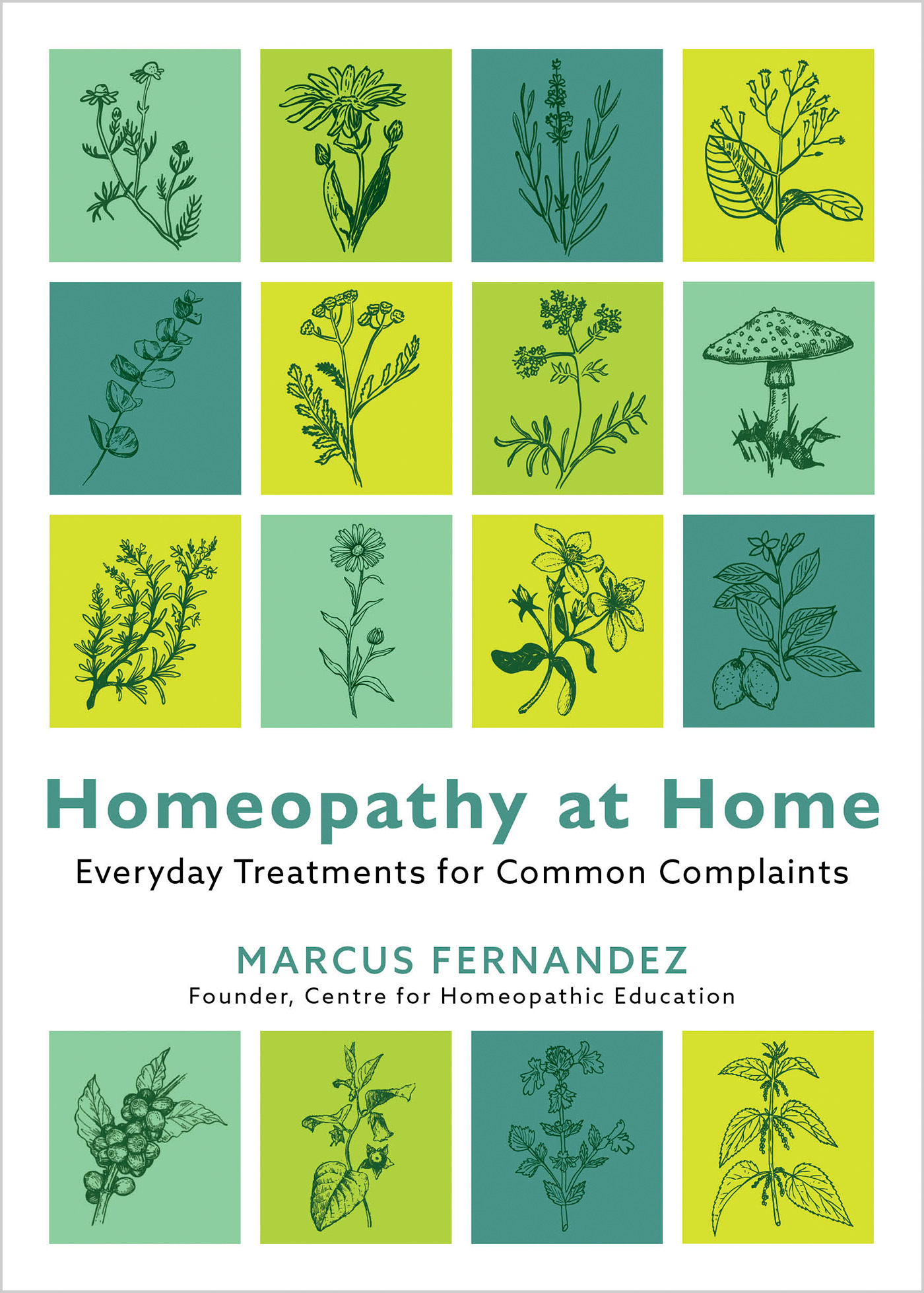 Homeopathy at Home: Everyday Treatments for Common Complaints (EPUB)