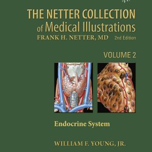 Netter Collection of Medical Illustrations: Endocrine System, 2nd Edition (EPUB)