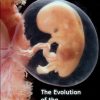 The Evolution of the Human Placenta (Original PDF from Publisher)