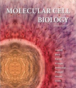 Molecular Cell Biology, 7th Edition (Lodish) (ORIGINAL PDF from Publisher)