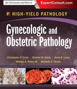 Gynecologic and Obstetric Pathology: A Volume in the High Yield Pathology Series (ORIGINAL PDF from Publisher)