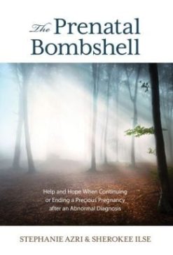 The Prenatal Bombshell: Help and Hope When Continuing or Ending a Precious Pregnancy After an Abnormal Diagnosis