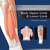 Lippincott’s Concise Illustrated Anatomy: Volume 1: Back, Upper Limb and Lower Limb (Original PDF from Publisher)