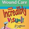 Wound Care Made Incredibly Visual! 2nd Edition (Original PDF from Publisher)