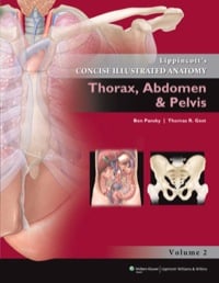 Lippincott’s Concise Illustrated Anatomy: Volume 2: Thorax, Abdomen & Pelvis (Original PDF from Publisher)