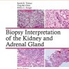 Biopsy Interpretation of the Kidney & Adrenal Gland (Biopsy Interpretation Series) (EPUB)