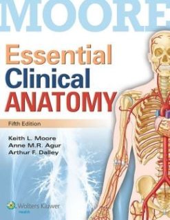 Essential Clinical Anatomy, 5th Edition (ORIGINAL PDF from Publisher)