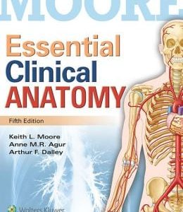 Essential Clinical Anatomy, 5th Edition (ORIGINAL PDF from Publisher)