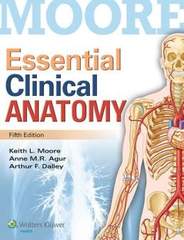Essential Clinical Anatomy, 5th Edition (ORIGINAL PDF from Publisher)
